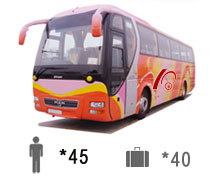 45-Passenger Man Bus
Coach Bus /
New Territories, Hong Kong

 / Hourly HKD 1,540.00
 / Airport Transfer HKD 2,500.00
