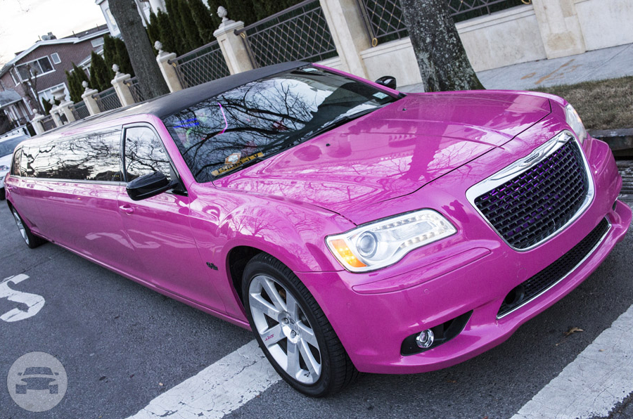 Pink Chrysler 300 EXOTIC Edition Jet Doors Limo
Limo /


 / Hourly HKD 100.00
