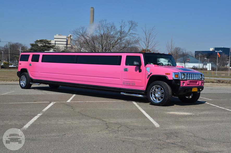 Pink Stretched H2 Hummer Limousine, Lambo
Limo /


 / Hourly HKD 150.00
