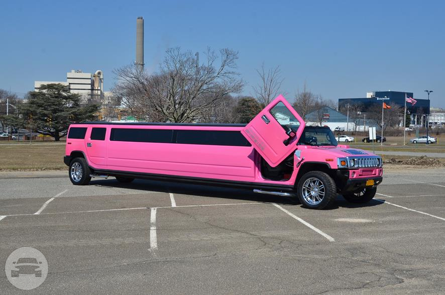 Pink Stretched H2 Hummer Limousine, Lambo
Limo /


 / Hourly HKD 150.00
